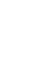 Prince Albert Raiders logo